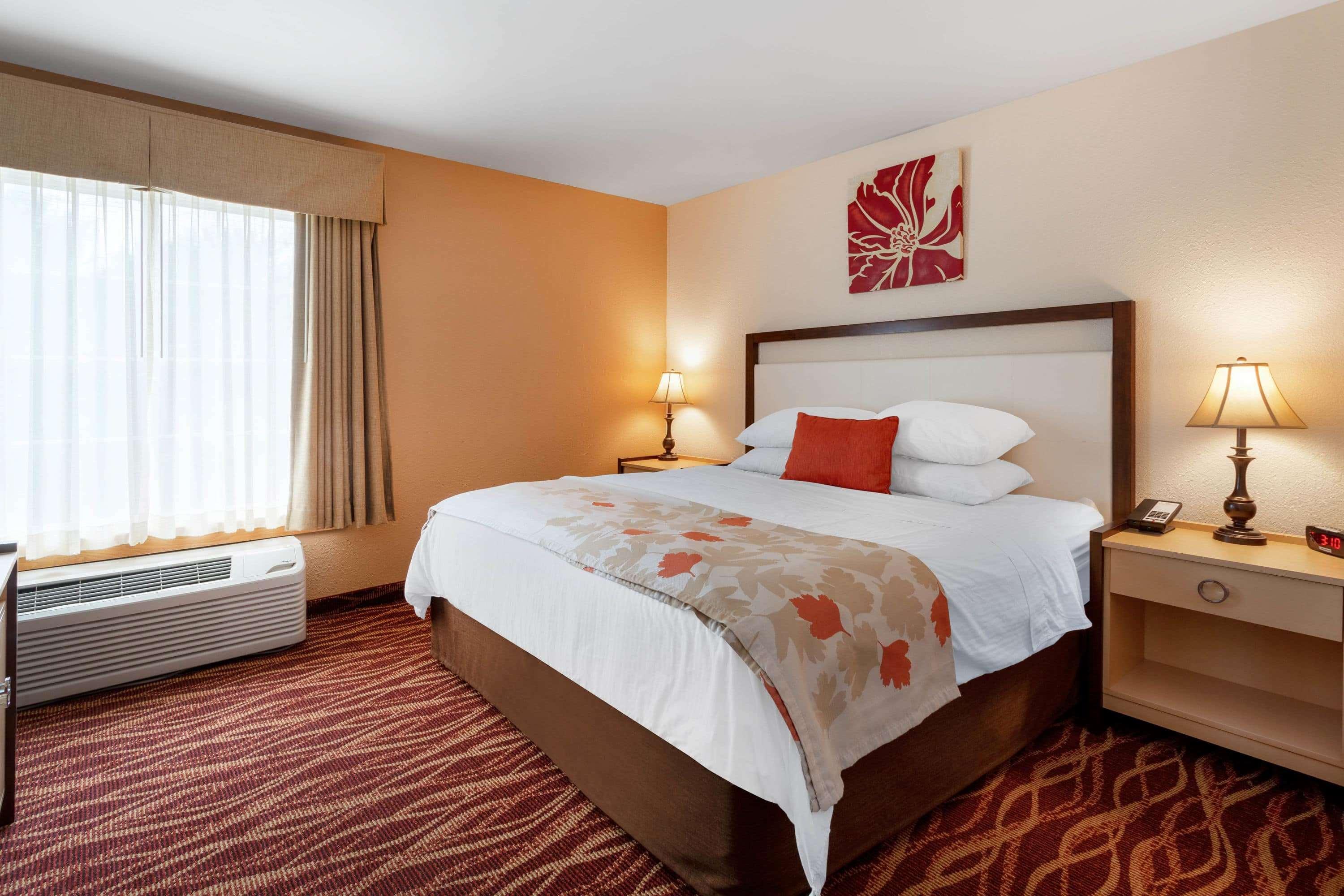 Hawthorn Suites By Wyndham Allentown-Fogelsville Buitenkant foto